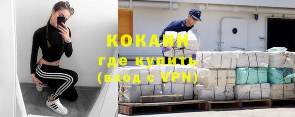 стаф Белокуриха