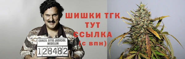 стафф Богородицк