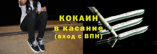 стафф Богородицк