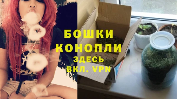 каннабис Богданович