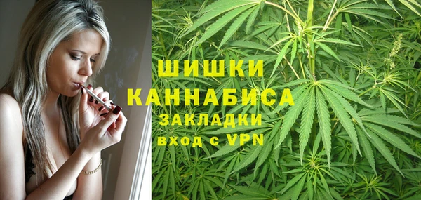 стаф Белокуриха